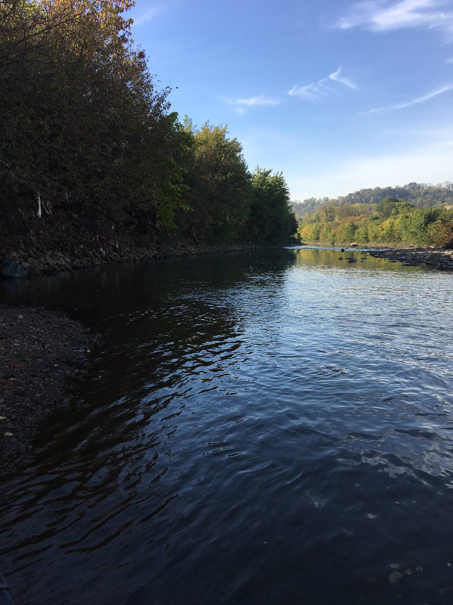 Metropolitan Sewer District of Greater Cincinnati tweet media