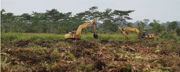 FLHS_allyb's tweet photo. @Ritzcrackers @Starbucks @KelloggsUS @CocaCola @Oreo @Doritos @Nestle @COVERGIRL @bioreus @Dove you are killing the environment!! stop using palm oil and save these poor animals/ people🙏 #StartWith1Thing #SaveLeuserEcosystem #CutConflictPalmOil https://t.co/nNjAVmjqQo