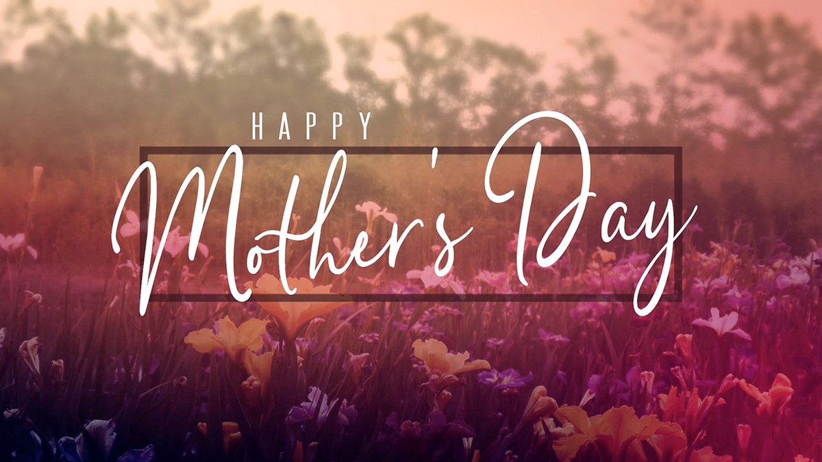 lifescribemedia's tweet photo. Hey guys, we just uploaded our new Wildflower Theme Pack to the site. These motions are perfect for Mother's Day! https://t.co/e5dMuAC1zA #crtvmin #churchtech #pastors #worshipleader #churchcomm #visualchurch #churchmotions #churchvisuals #motiongraphics #churchmedia #worship https://t.co/43REiDw5Fm