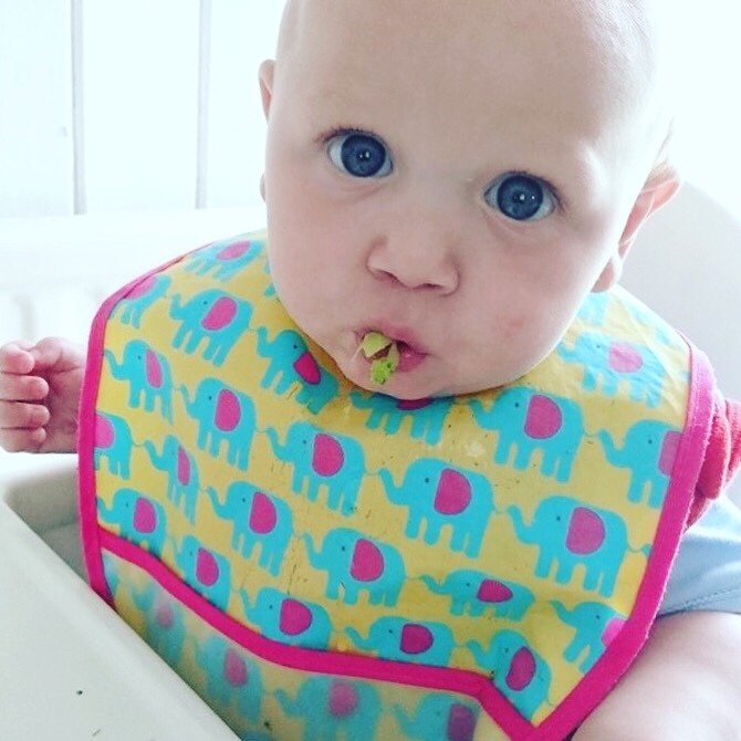 Nonigemama's tweet photo. Food Trials- When Is A Fail A Fail? https://t.co/HSkX7Lpmw9 https://t.co/dI6PDzeSOa