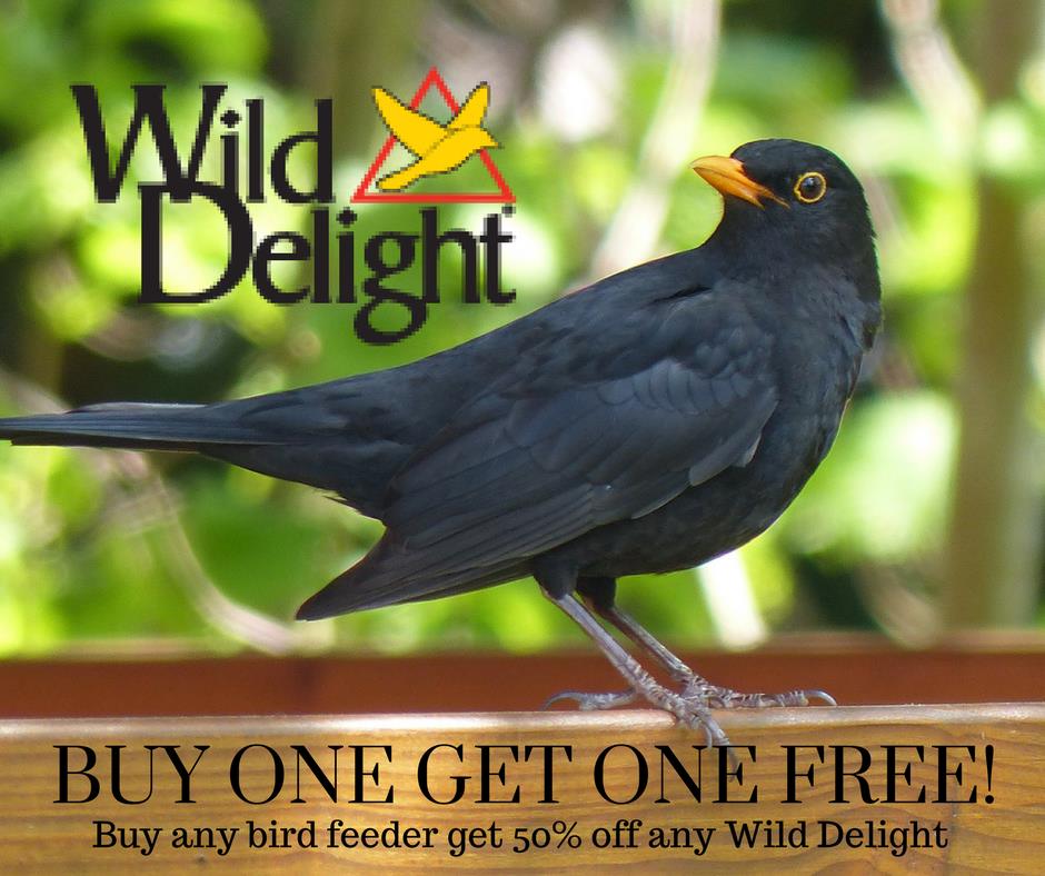 PoudreFeed's tweet photo. Calling all bird lovers! Wild Delight is kicking off day one of new sales every day this month with BUY ONE GET ONE FREE on any Wild Delight wild bird seed!! Need a new feeder? They're also offering 50% off any seed with purchase of any bird feeder! In stores today only https://t.co/KBULJ7QSOd
