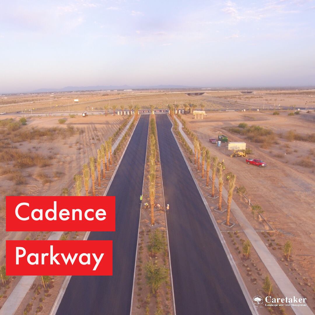 CadenceGateway's tweet photo. Scenic view from overhead at The Cadence Parkway Project. Thank you to our construction crews who are working hard to complete this beautiful installation at Ray and Ellsworth in #Mesa. https://t.co/c2vTfHV46P @SilverFernCos @CaretakerLndscp https://t.co/zKiltlesqq