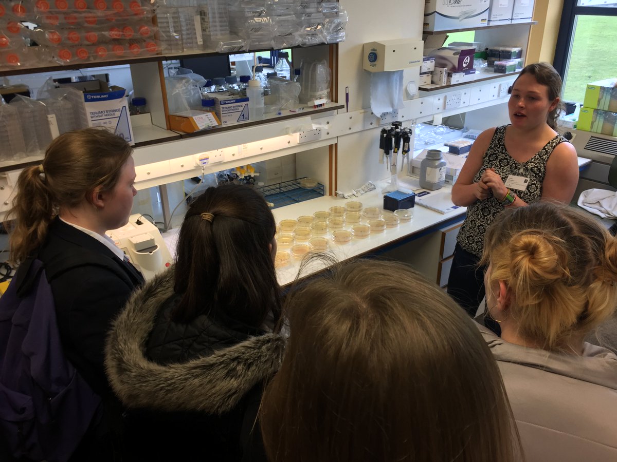 SydenhamHigh's tweet photo. Our #girls had a top day at #IFSTEM, esp the talk from @jesswade @imperialcollege, meeting #alumna Prof Alison Hodge + speaking with a researcher about her current project @JohnInnesCentre. Thanks @NorwichHigh
#stemettes #WomenInSTEM #womeninscience @InspFemales #fearnothing https://t.co/cIjfV7fiyx