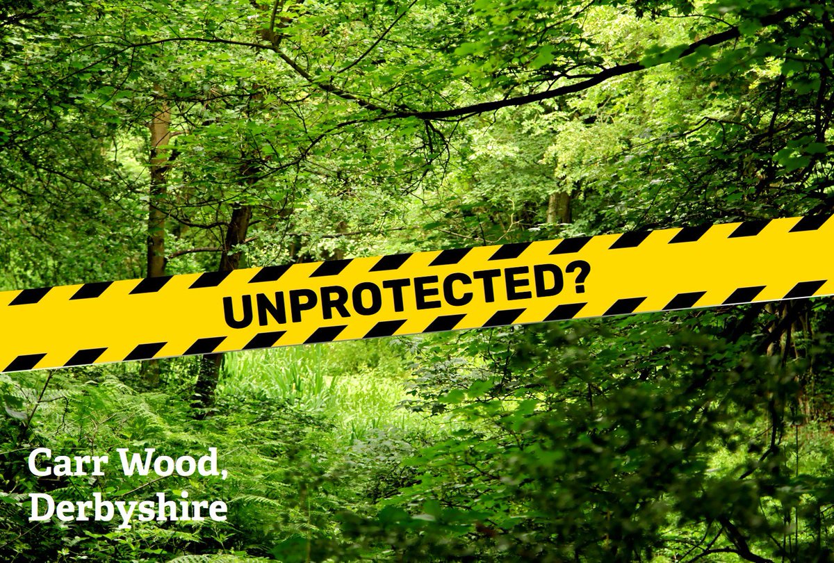 WildlifeTrusts's tweet image. 5 reasons why we're concerned about Local Wildlife Sites and how they could be affected by proposed new planning guidance. Read more here: wtru.st/2rfdegF #UnprotectedSites #actswiftly