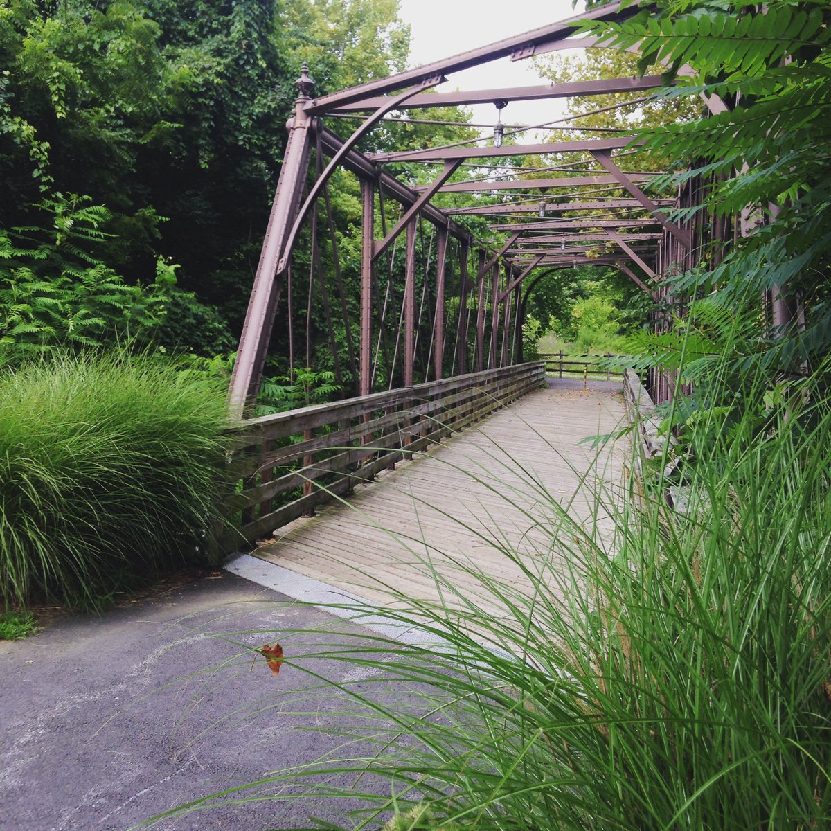 A woman who exercises 30 minutes daily can lower her risk of dying early by 27% compared to someone who exercises just 30 minutes once a week. All the more reason to get out and get active today!