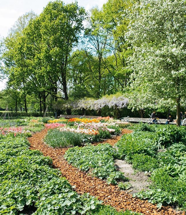 Erasmuspark garden #inbloom #🌷#🌼 #🌳 ift.tt/2HMCt4j