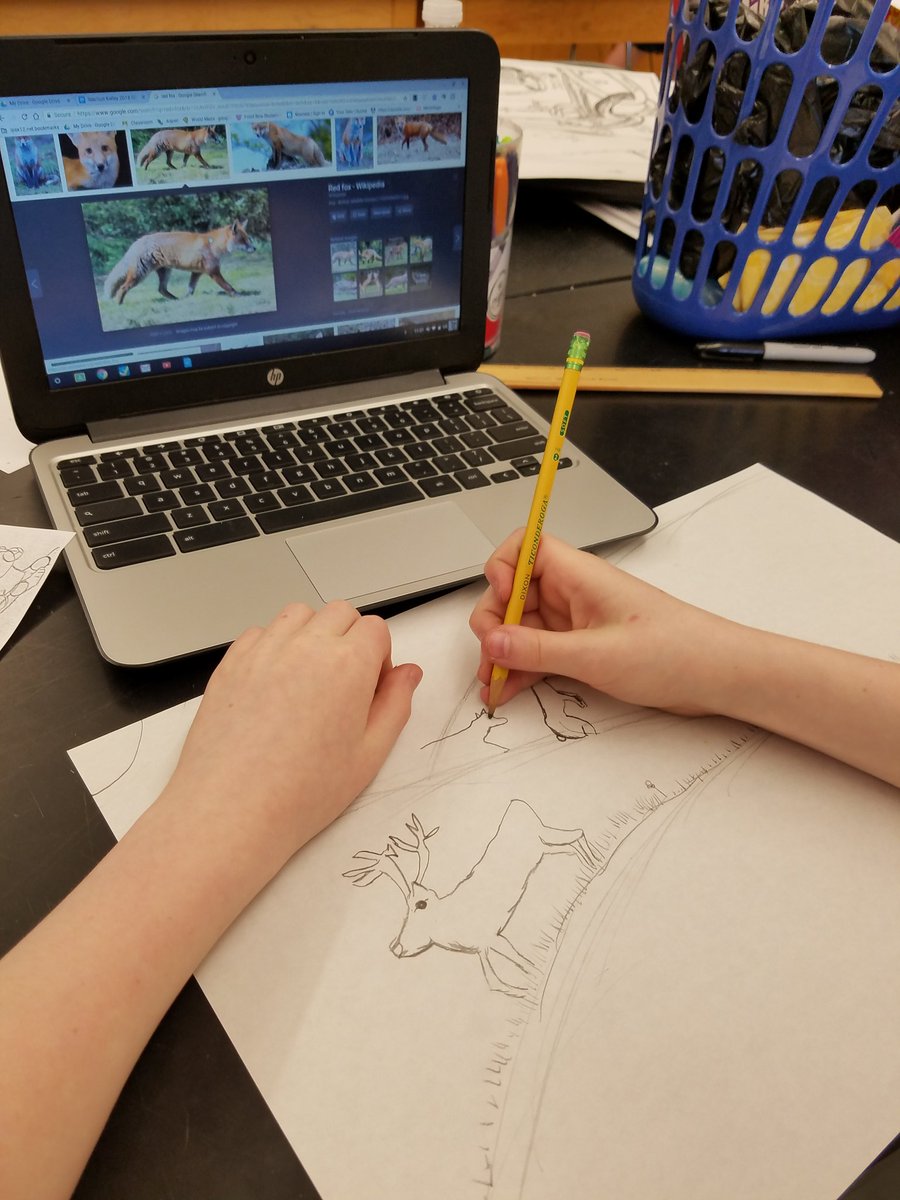 VSEsteam's tweet photo. Art &amp; Science habitat drawings, STEAM interdisciplinary at IMS https://t.co/zCBwnmNHzb