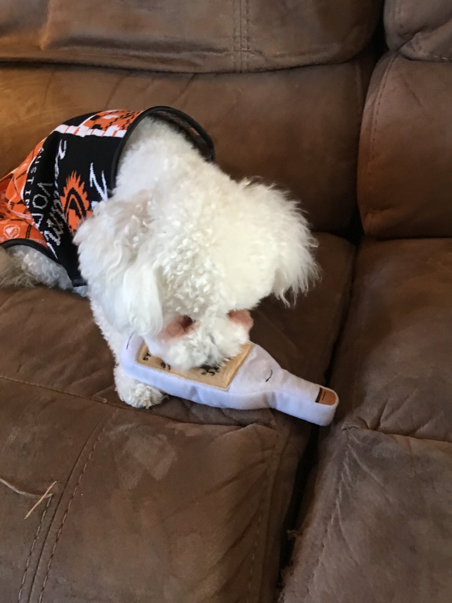 tastefullytitos's tweet photo. When your pups love Tito's just as much as you do 😍
#vodkafordogpeople #titosvodka https://t.co/D5Qv04vtys