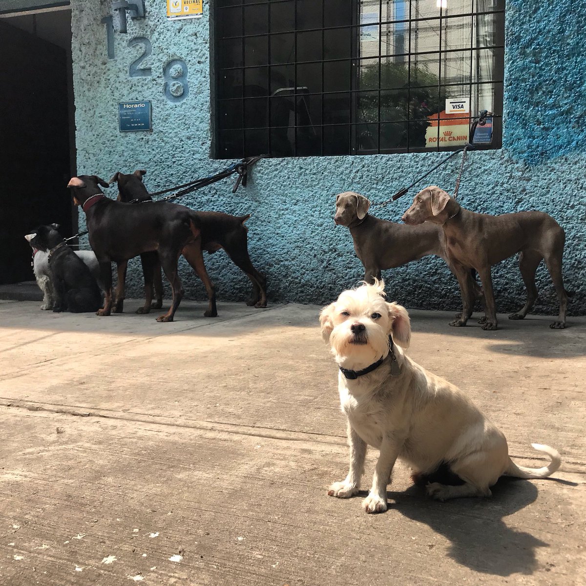 Don Valente tweet media