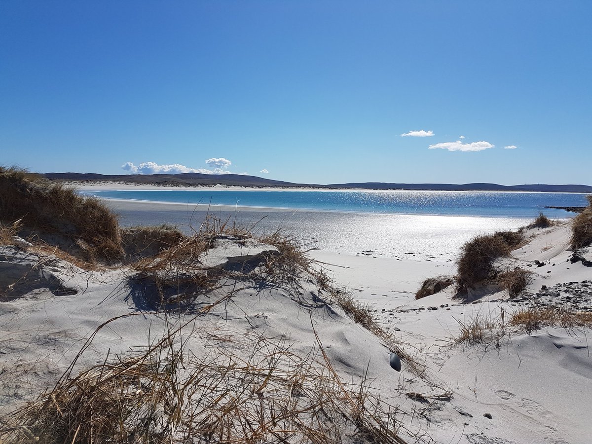 Laura Dean tweet media