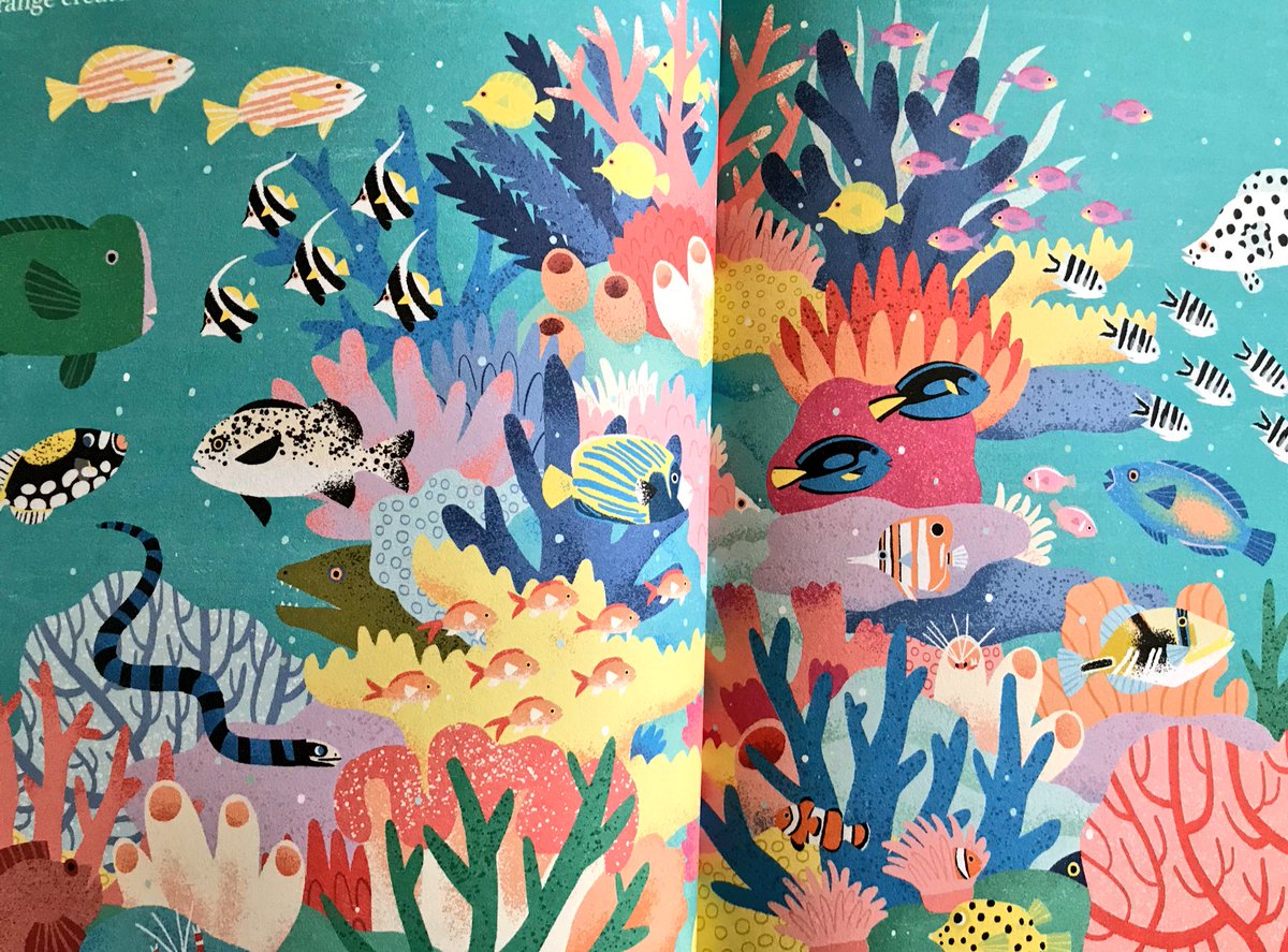 _Reading_Rocks_'s tweet photo. Look at this stunning book! Would you like to win it? To enter, RT then tweet us your favourite sea creature and why. 🐠🦑🐬🦀🦐🐡🐋🐟🐋 https://t.co/Wn3pXQFdA7