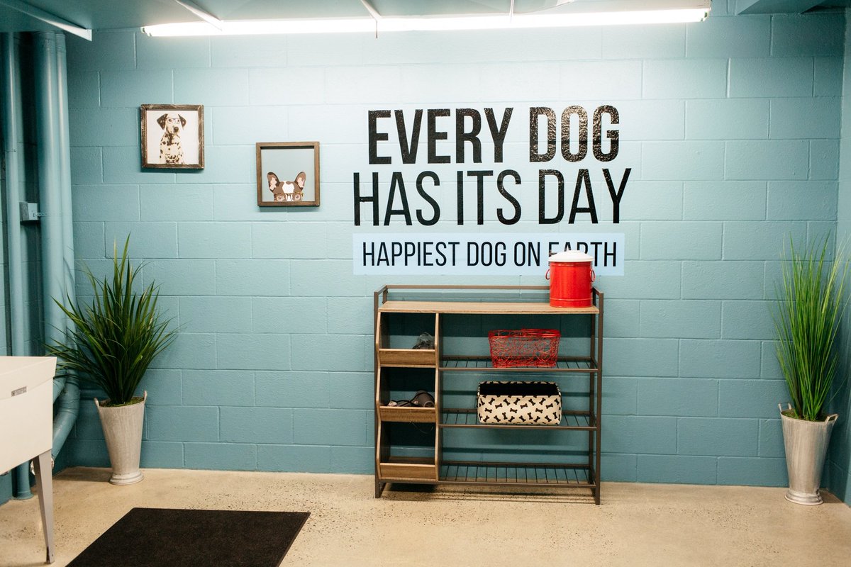 TheCoastGroup's tweet image. It's national pet month!! Did you know MOD Apartments has a dedicated pet washing salon? For those looking to have a squeaky clean dog in their home MOD has you covered. #CoastPropertyManagement #PetfriendlySeattle #Apartmentdog #Modapartments #Seattleliving #CoastPM #Seattledog