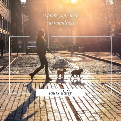 TheCoastGroup's tweet image. It's national pet month!! Did you know MOD Apartments has a dedicated pet washing salon? For those looking to have a squeaky clean dog in their home MOD has you covered. #CoastPropertyManagement #PetfriendlySeattle #Apartmentdog #Modapartments #Seattleliving #CoastPM #Seattledog