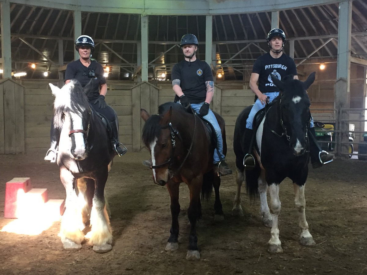 Spirit, Max and Lord Stanley -- three of <a href="/PghPolice/">Pittsburgh Police</a>'s soon-to-come Mounted Units -- got in some training this morning with their skilled officers.
#PGHProud #LetsGoPens #ProtectAndServe