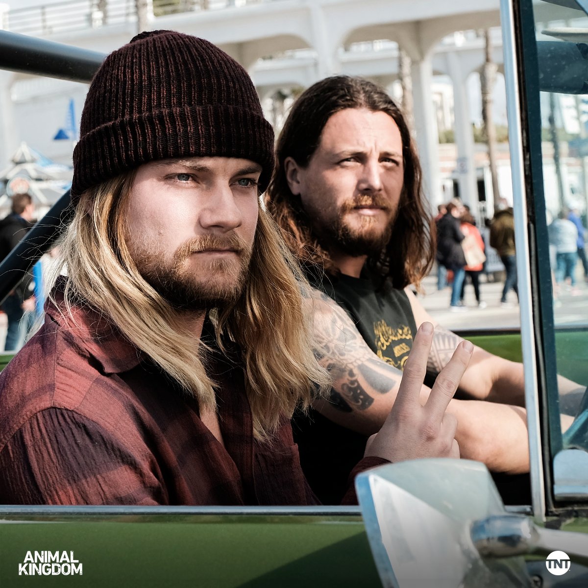 Animal Kingdom tweet media