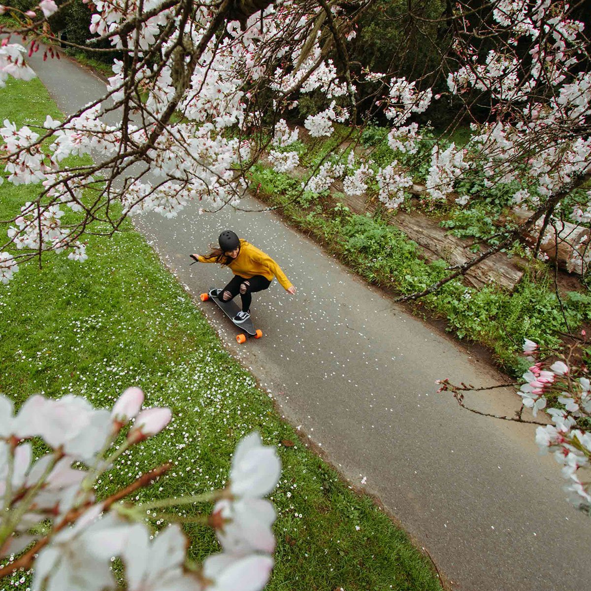 BoostedBoards's tweet photo. Boosted Plus is a new take on our classic longboard with refinements in all the right places. One ride and you’ll see how far we’ve come. #BoostedBoards #BoostedPlus #NewClassic https://t.co/baOhAfvQ0g
