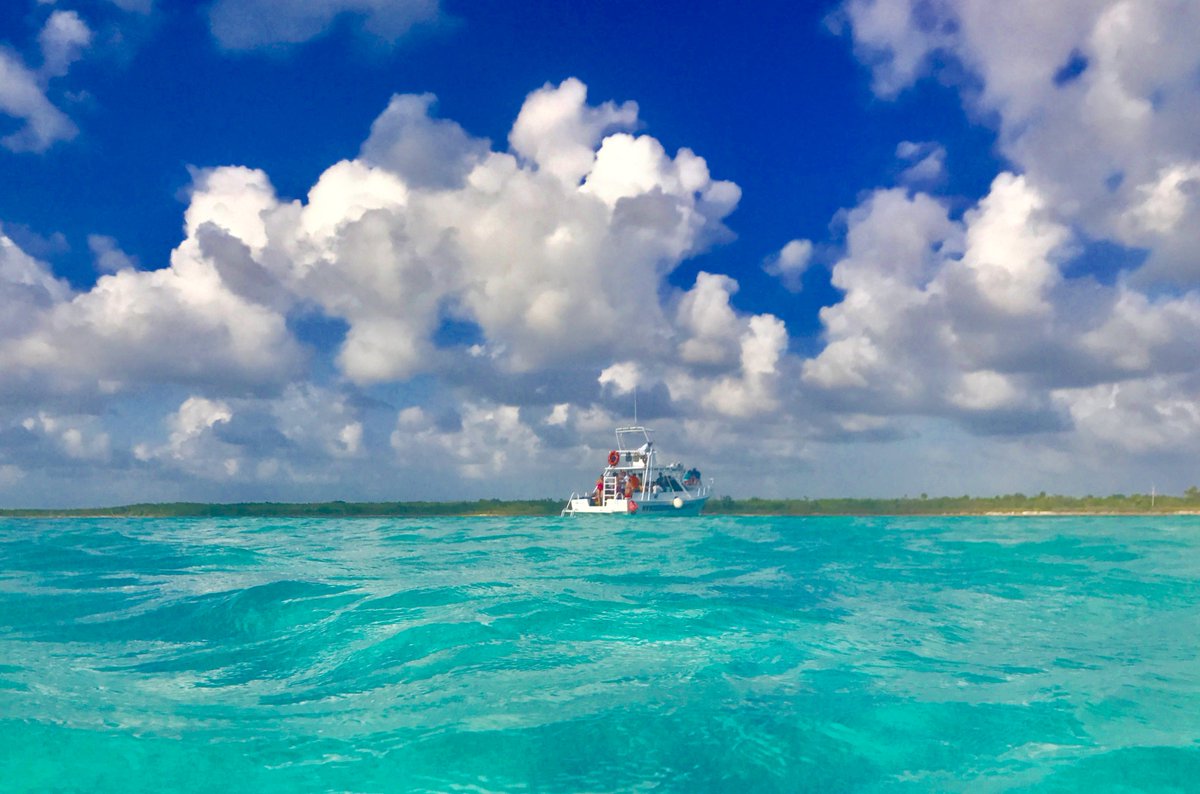 ¡Disfruta y déjate consentir con nuestro increíble tour al cielo! #ExploreanExperience #ExploreMore #Cozumel