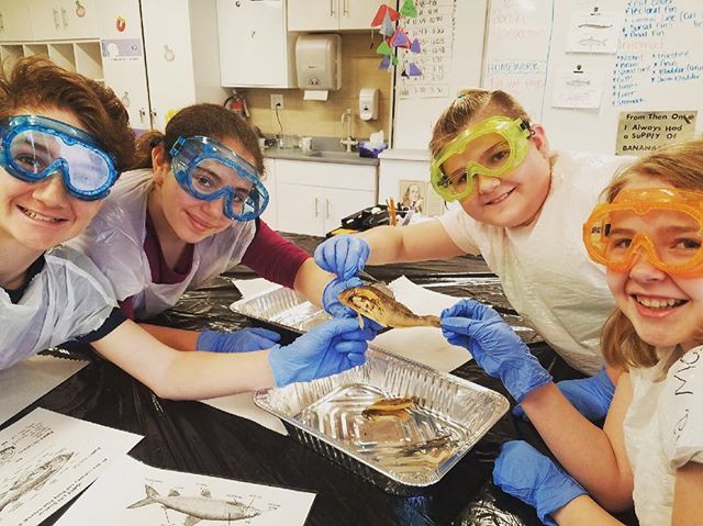 LBMS65's tweet photo. Look at these happy scientists. #perchdissection #6thscience #lb65 https://t.co/dSkVtQcOxz https://t.co/QQJwFecnNH