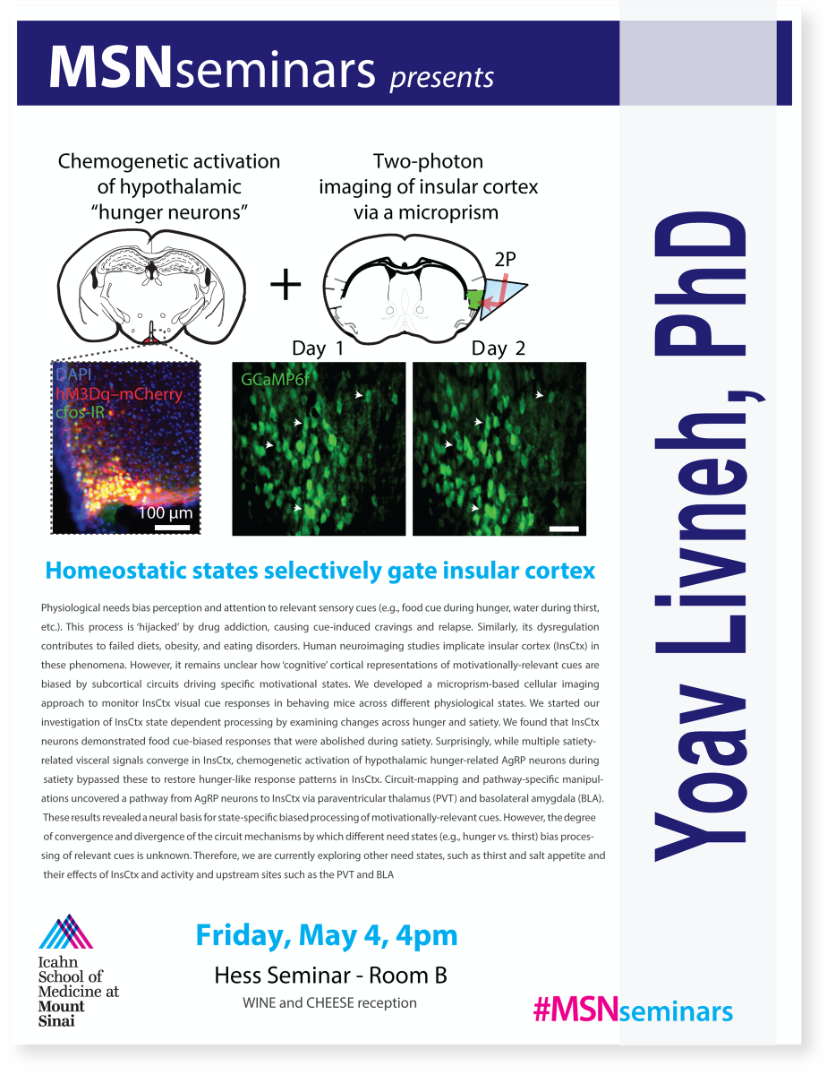 SinaiBrain's tweet photo. JOIN US for our monthly #MSNseminars on Friday, May 4th as @harvardmed’s @Yoav_Livneh, speaks about "Homeostatic states selectively gate #InsularCortex”! @GradSchoolSinai @IcahnMountSinai https://t.co/iJ2kd67n7O https://t.co/tNHNjdDHk9