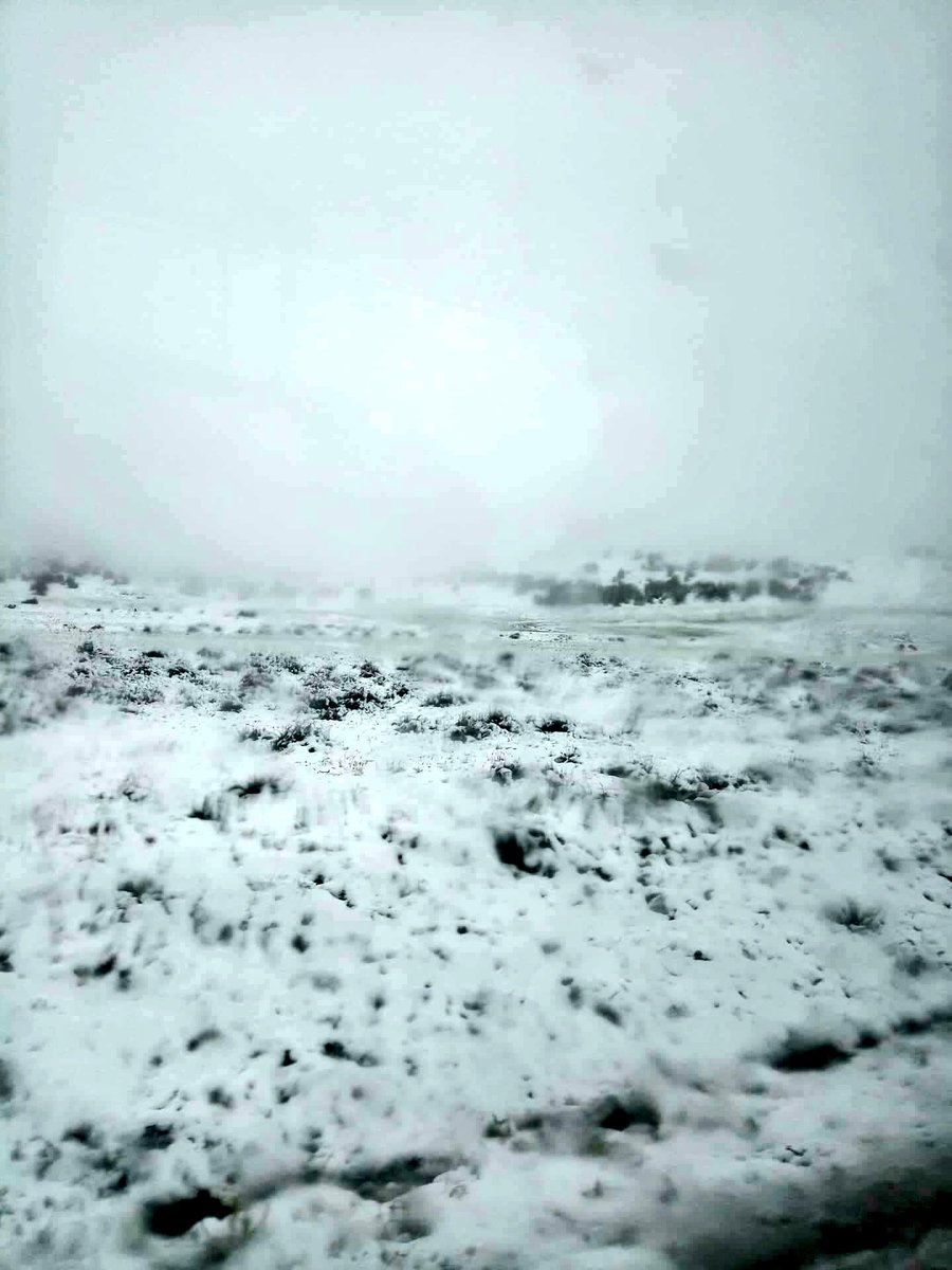 halima__zad's tweet photo. يابوس،ولاية خنشلة ❄❄❄
#الثلوج_في_الجزائر 
#الثلوج #الجزائر https://t.co/DU3kKRTwsy