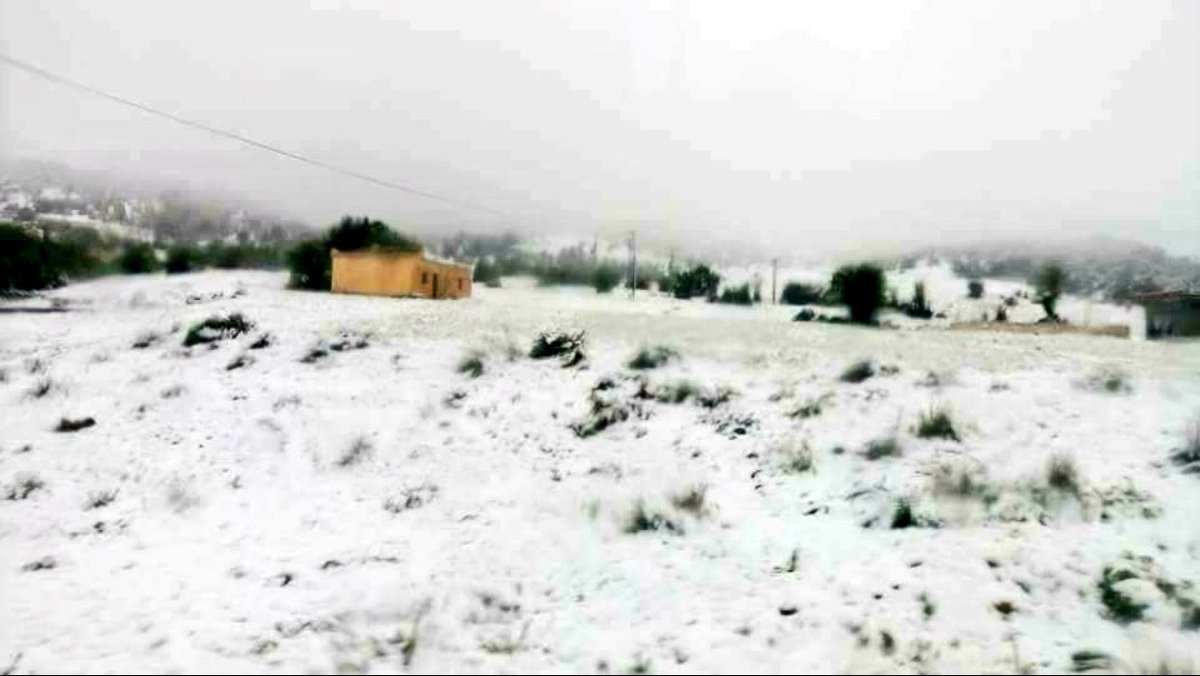 halima__zad's tweet photo. يابوس،ولاية خنشلة ❄❄❄
#الثلوج_في_الجزائر 
#الثلوج #الجزائر https://t.co/DU3kKRTwsy