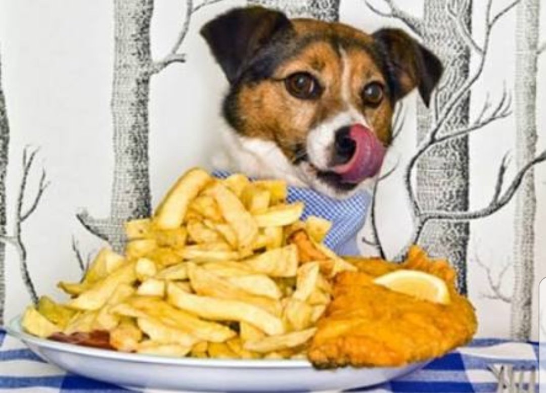 Antes do Thanos / Depois do Thanos