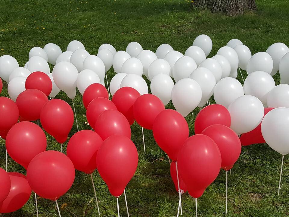 KOD_Czewa's tweet photo. #DzienFlagi w Częstochowie w Parku 3 Maja obchodzony przez  #KOD #grupalokalnaCzęstochowa https://t.co/J3Y8vpTqWj