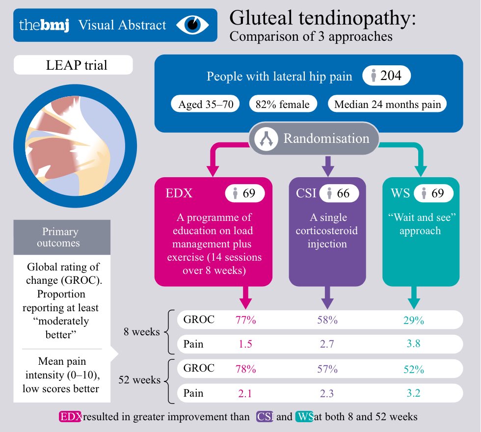 tomgoom's tweet photo. Important study published today from @alisongrimaldi @Bill_Vicenzino @paulwhodges @KimBennell et al. finds education and exercise effective in managing gluteal tendinopathy *open access* ➡️ https://t.co/f9LJS3Xrvz https://t.co/1pLa01fcJX