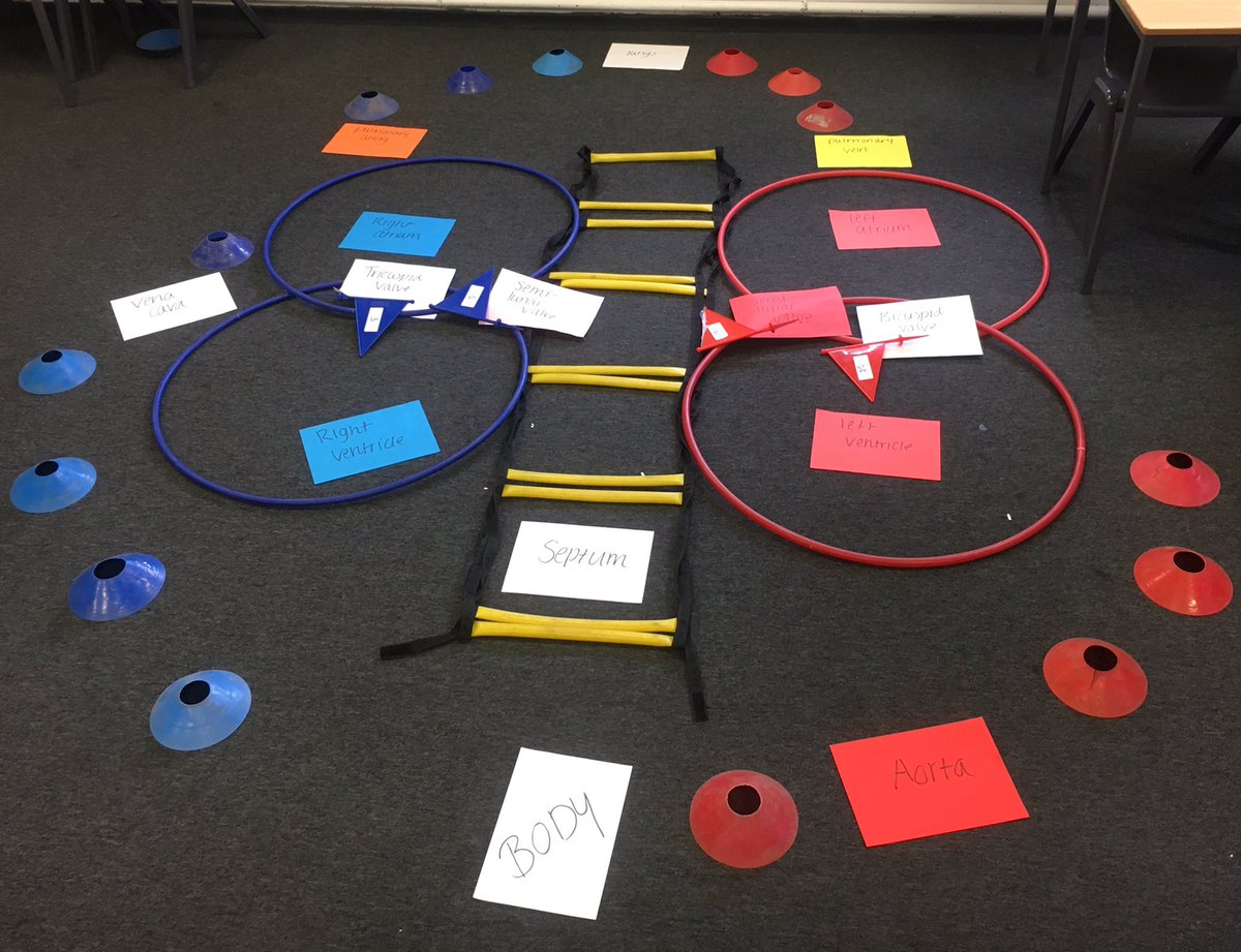 MissCSutcliffe's tweet image. Year 11 GCSE PE working hard after school and getting creative with revising the pathway of blood through the double loop circulatory system #14daystillpaper1 #GCSEPERevision #aimhigh