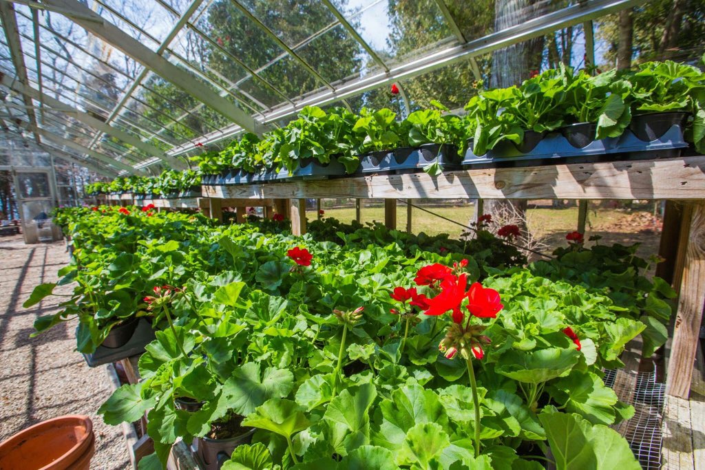 Grand Hotel tweet media