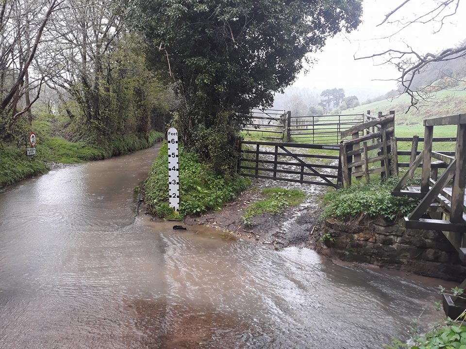 HELLSBELLS_DFYB's tweet photo. trail run today - in the pouring rain. It stopped raining after this! We went to the Everley @EverleyCafe after, I had pea and mint soup https://t.co/2W4XikCWpw