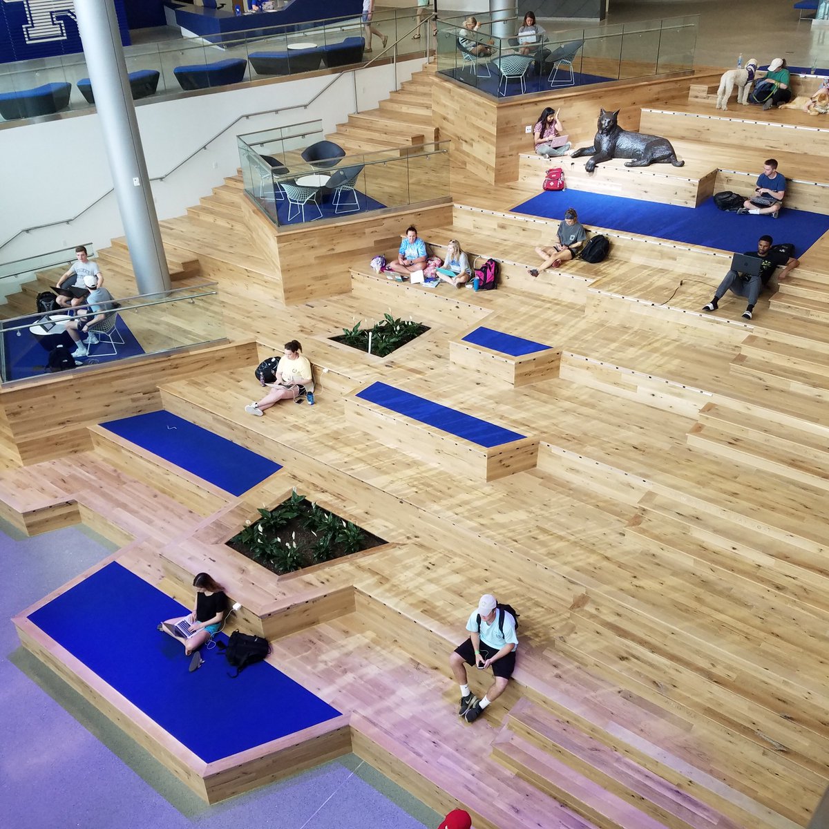 UKStudentCenter's tweet photo. Maybe we should call it the Study Staircase. 🤔 #seeblue #weareuk #bbn https://t.co/HPbZiEAOQI