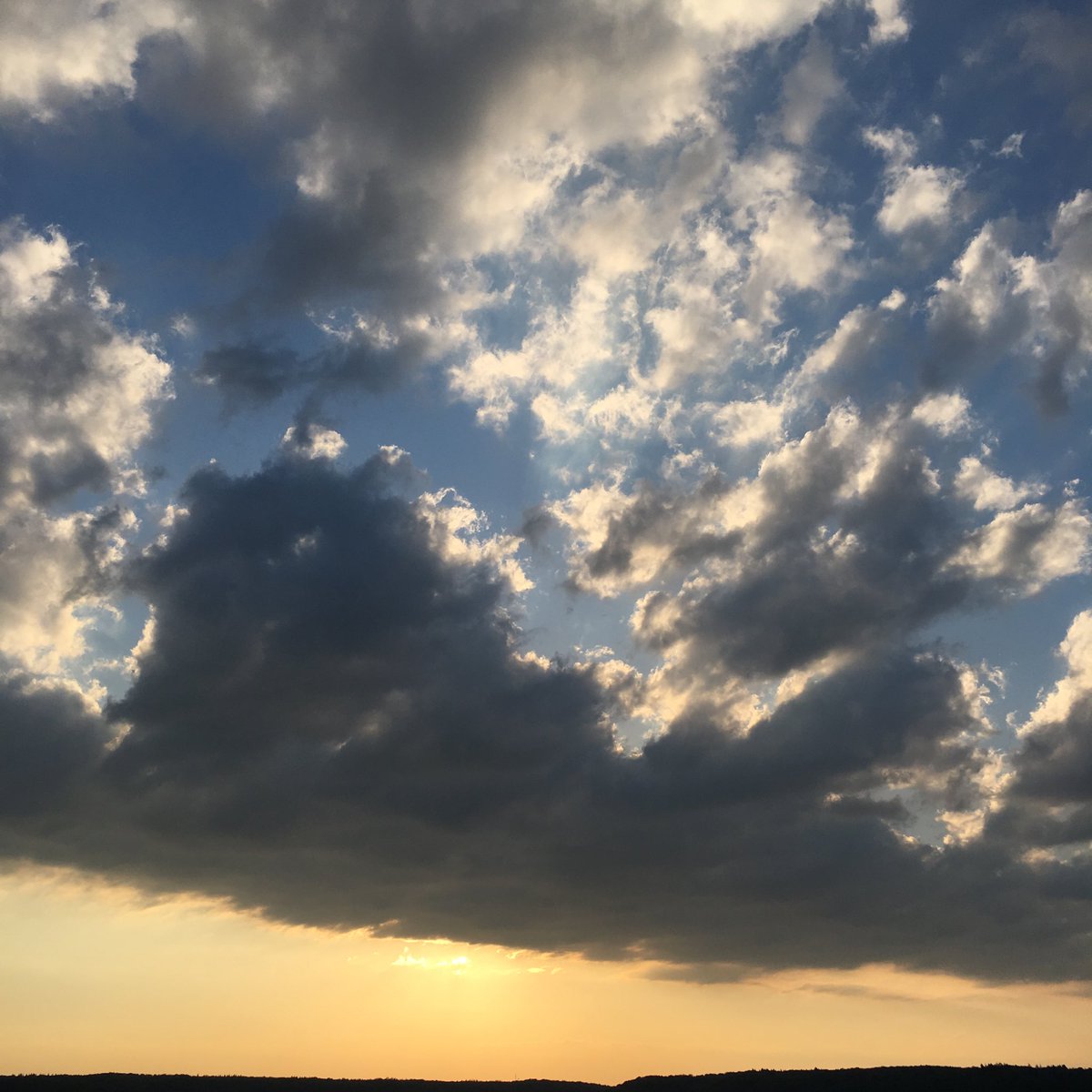IngaMomsen's tweet photo. Sonnenuntergang FL-Förde https://t.co/zqzfp2sKAg