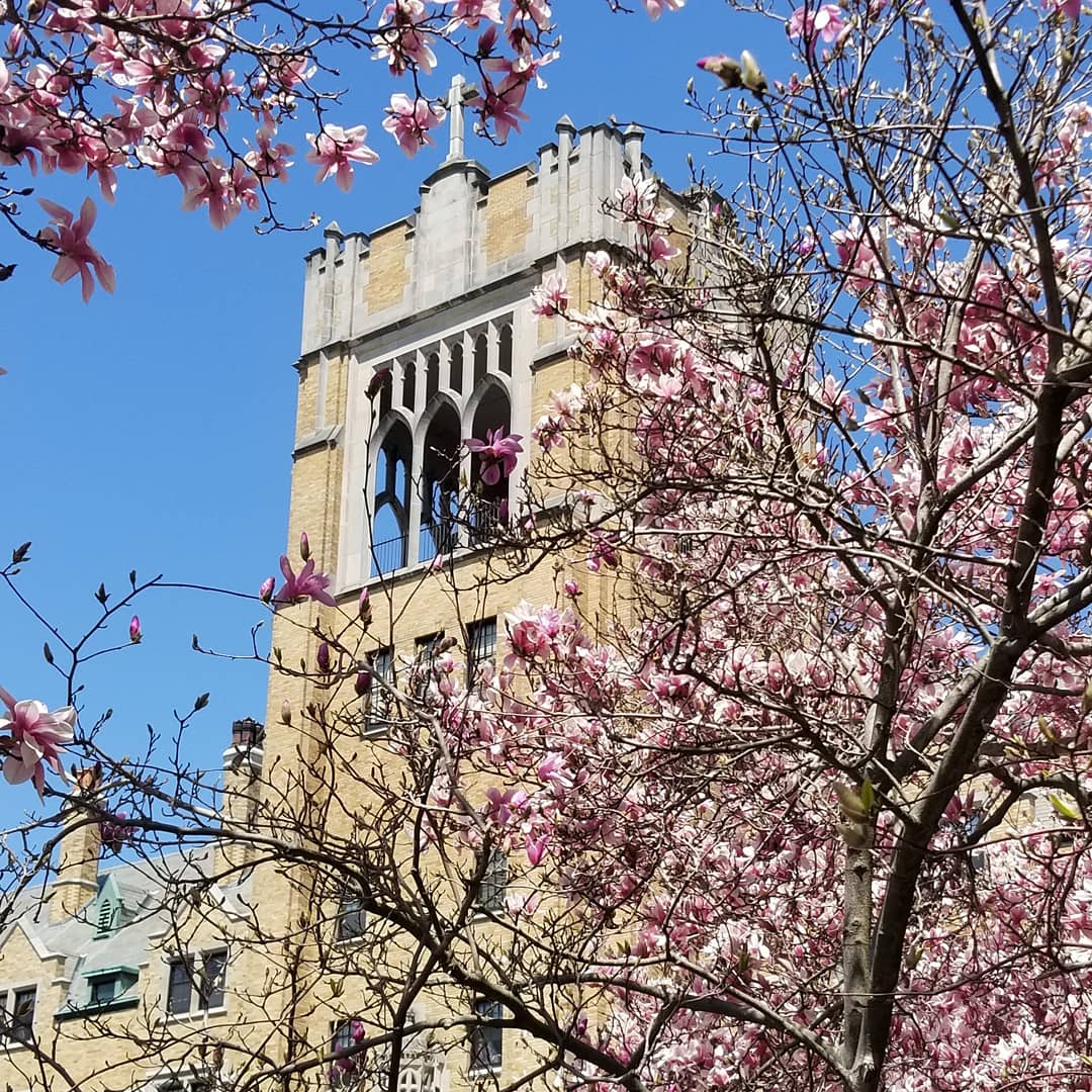 Good news! We have extended the deposit deadline for the Class of 2022 until May 15th. Submit your deposit online at saintmarys.edu/deposit today! #officiallySMC