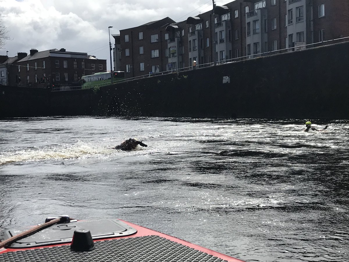 colum_mccarthy's tweet photo. Day 3 Swiftwater Rescue Technician training for our new recruits. Live bait rescues on the Abbey River with our Swiftwater craft #fireswift for downstream cover @LimerickFire @Rescue3europe @R3SAR https://t.co/i7NtWdWmiG