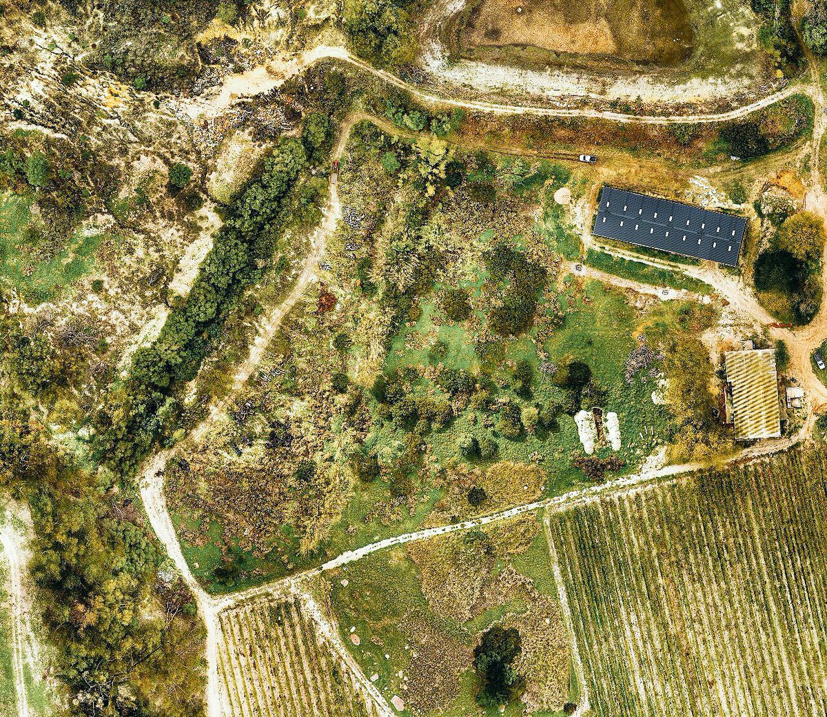 visualviti's tweet photo. New Vine Garden. Planning phase 1 with #djiphantom4 and #pix4d Clearing of alien trees and kikuyu starts next week https://t.co/PoPKtcRgCz