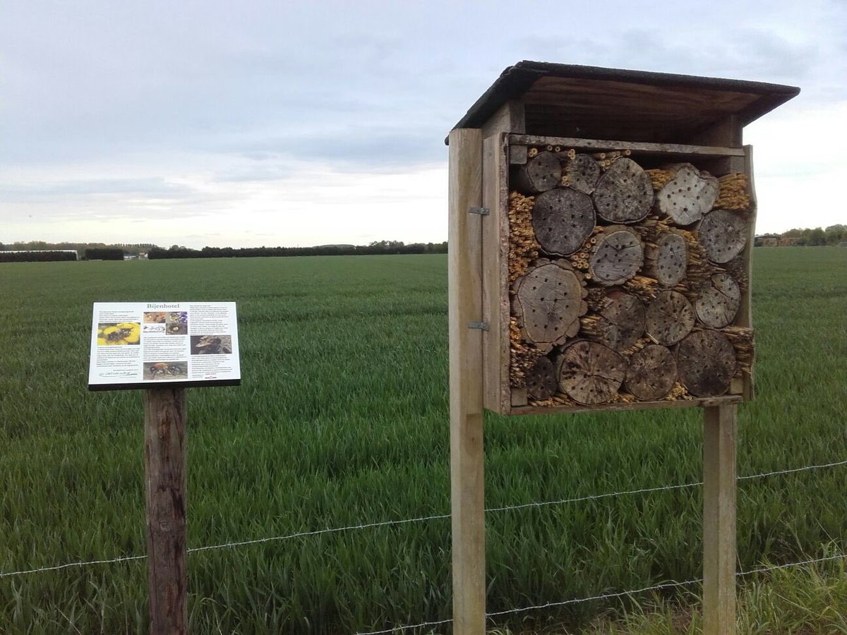 Ons #bijenhotel met begeleidend bord met uitleg over #wildebijen is weer terug op locatie langs het #Errekomsepad #klompenpad in <a href="/gemeenteburen/">Gemeente Buren</a> #educatie #bijbewust en gangbaar akkerbouwer! #agrarischnatuurbeheer #mvo