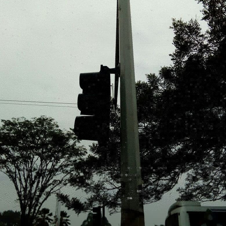 SolutrafficIng's tweet photo. ¡Proyecto Consorcio Cali Ambiental!

Nuestros colaboradores realizaron mantenimiento a semáforos de la calle 8va, ajustando su altura a 2,70cm, además de ejecutar las pruebas del cruce y un buen funcionamiento activo. 

#seguridadvial #calico #solutraffic #transito #medioambiente https://t.co/5eOaiSxHXS