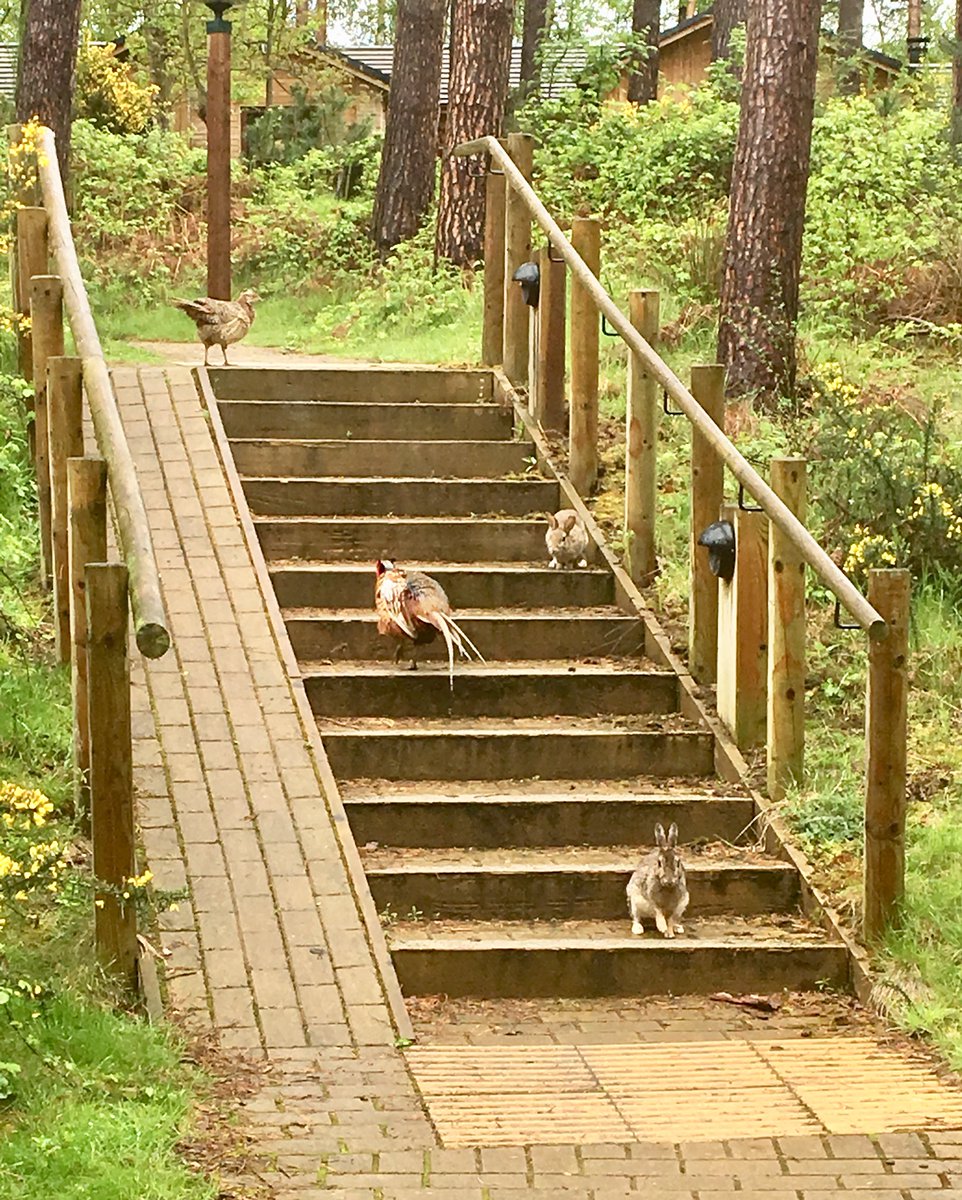 Mark Cooper tweet media