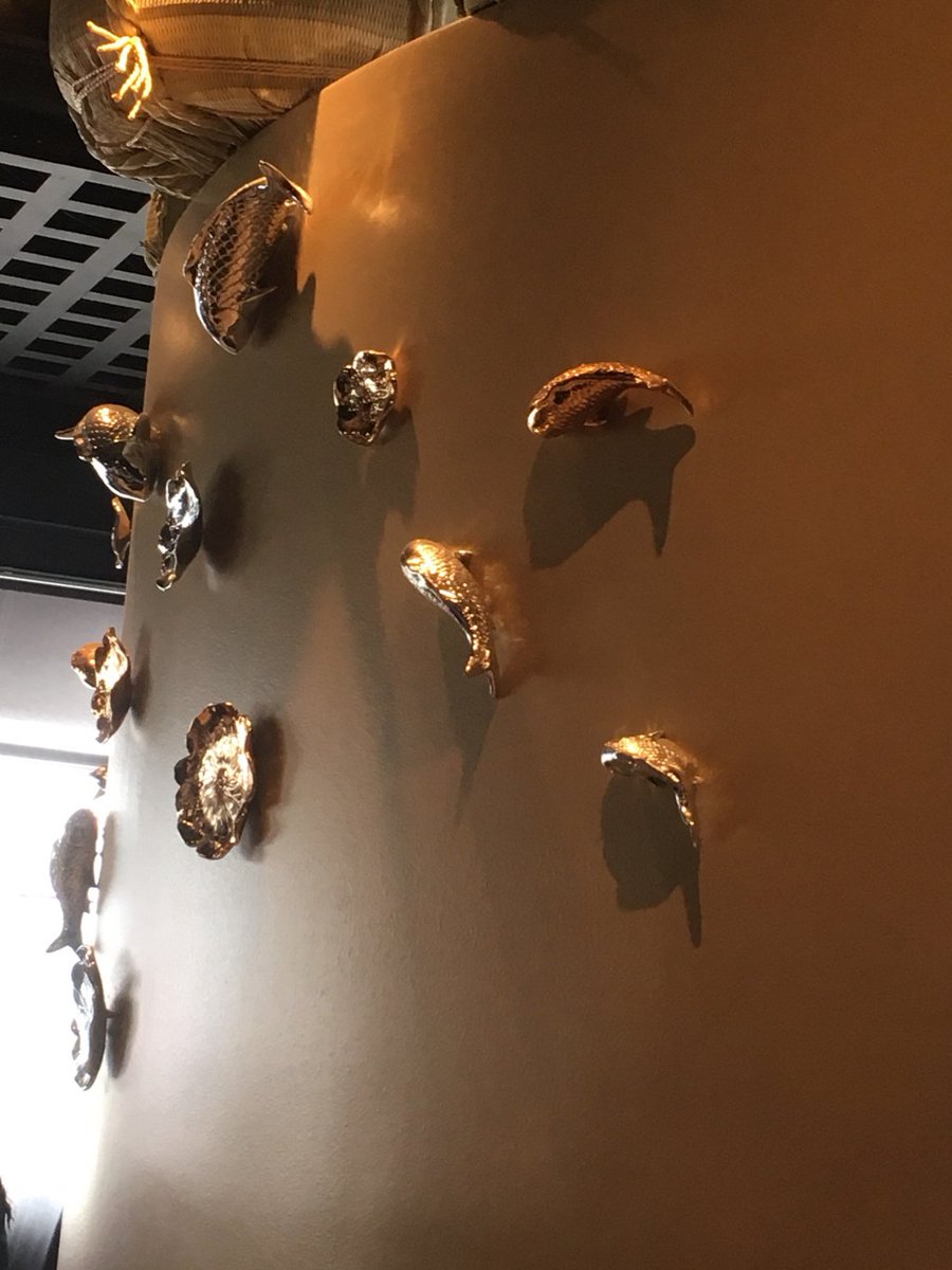 CharliePatchkey's tweet image. Like a Fish out of water sillyselfhelp.wordpress.com/2018/05/02/lik…