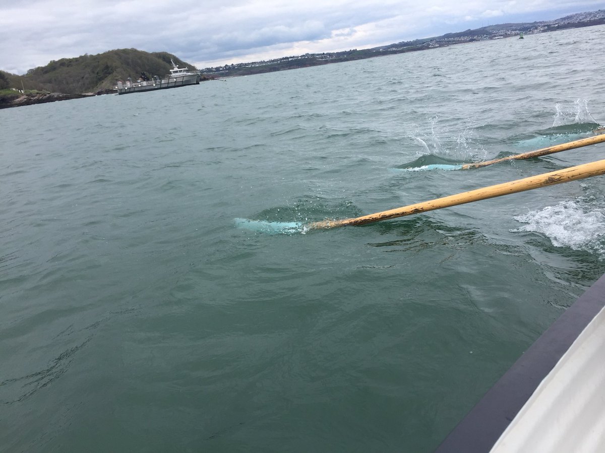 RowWestRegion's tweet photo. Gr8 to be back tutoring...L2 session coach @BrixhamGigClub at weekend, 9 new keen coaches part way thru the course https://t.co/41wqhA3pJn