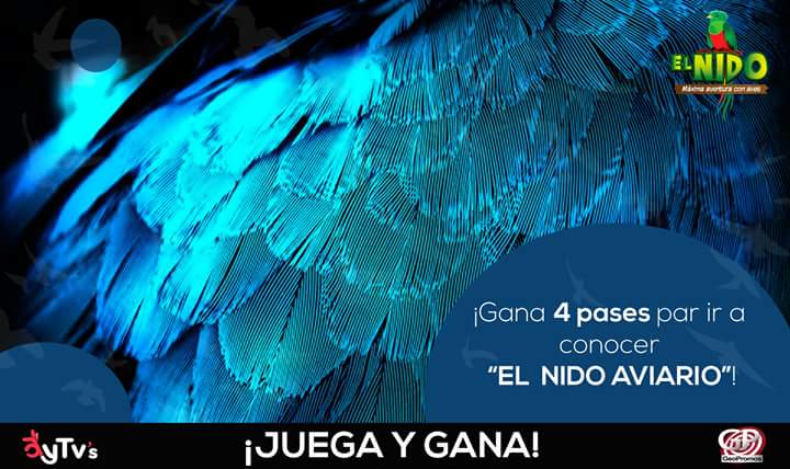 RT-
¡AMIGOS ! 

Tenemos pases para que puedan visitar  El nido Aviario en Ixtapaluca Estado de México, 😱 lo único que tienen  que hacer es entrar a la App GeoPromos y dar click en el banner #JuegayGanaElNido.🤗 

Así de fácil es ganar con AyTv's y #GeoPromos 😁🤪🦅🕊🦆🌿🍃
