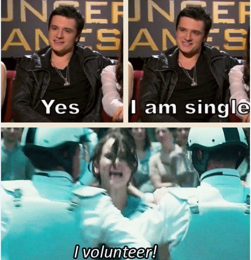 Best 25 Hunger Games Memes #Hunger games Funny #Memes