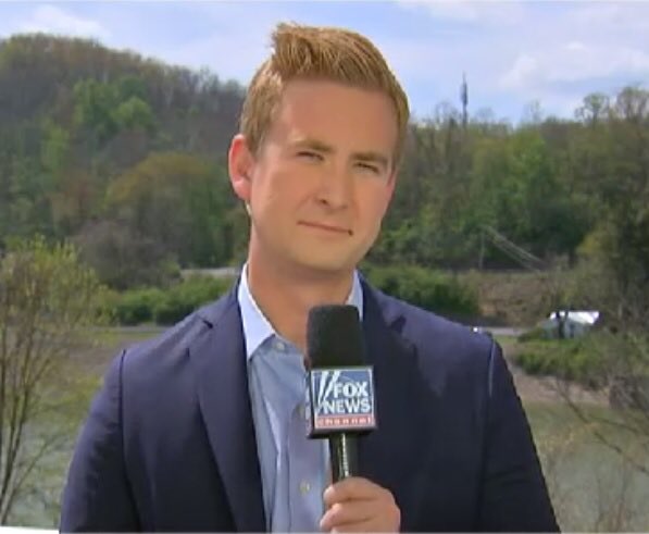 Amber Waves of Mane (@PeterDoocysHair) / Posts / X