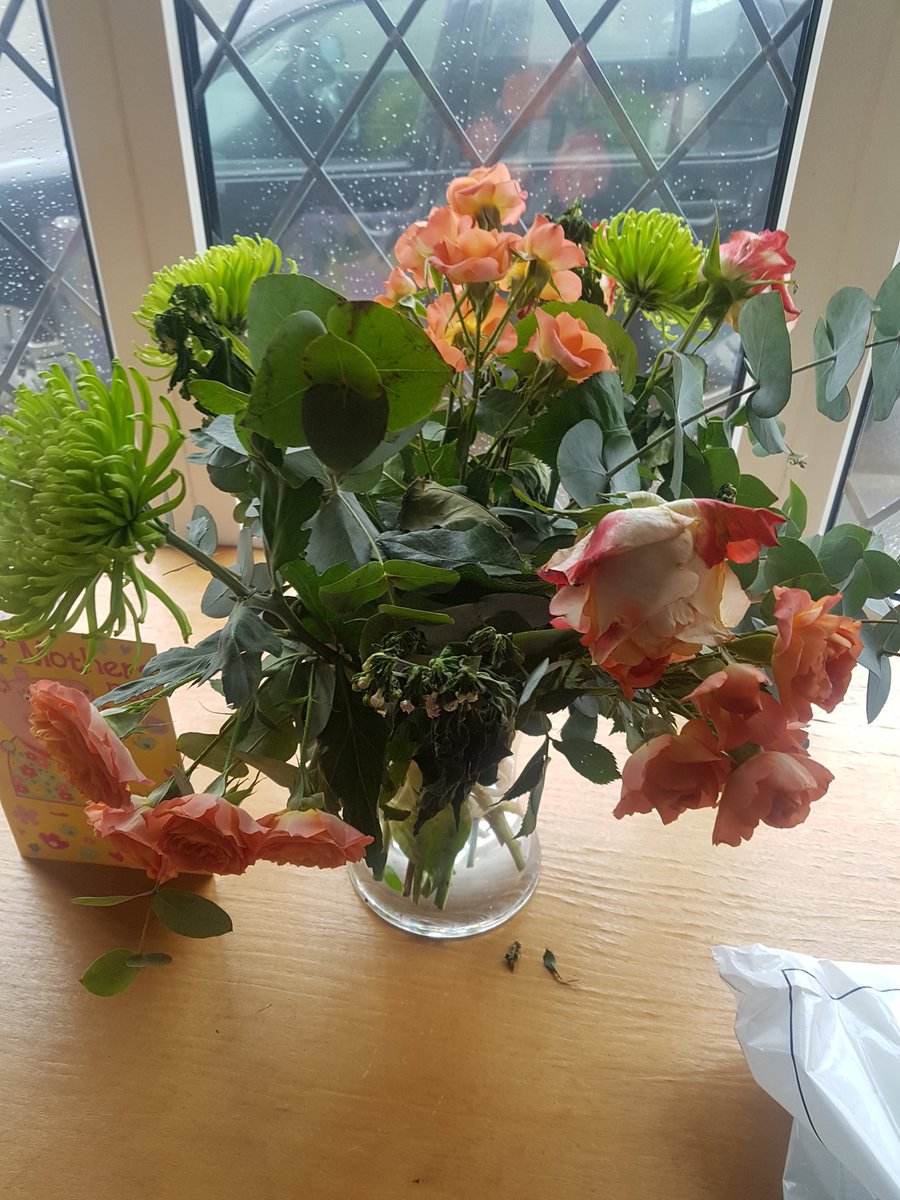 Im_Just_Joe2025's tweet photo. 1st picture is flowers bought from @KeelhamFarm for £25 dead 2 days later the 2nd are roses bought from @AldiUK last week for £2.09! I know where i WONT be getting them from again https://t.co/jGZGoytWxs