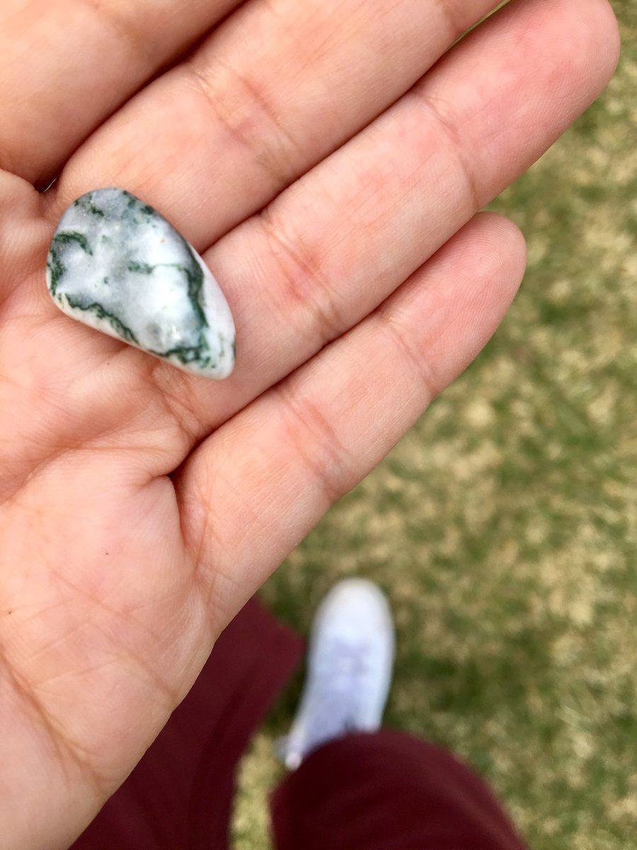 electricHOMEGRL's tweet image. New rock! #TreeAgate