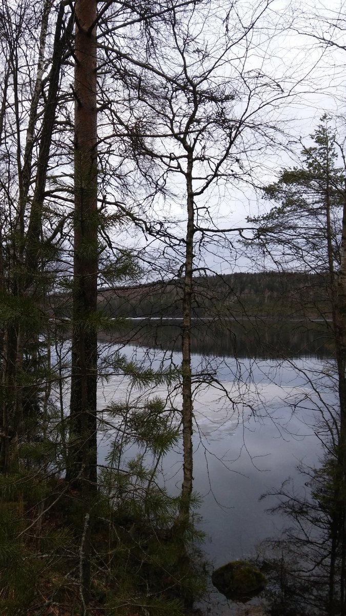 t_tuulas's tweet photo. Ilta hyttysiä jo mutta eipi haittaa #suolla #iltalenkki #keväänvikakuukausi https://t.co/UvIpVH9cxS