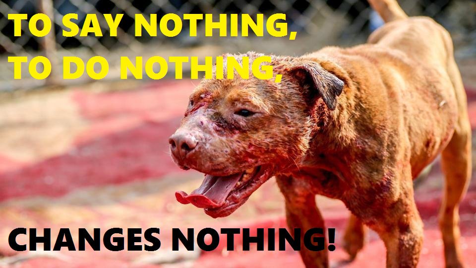 Protect_Wldlife's tweet photo. Sign &amp; RT: ANYONE Convicted Of Involvement In #DogFighting In ANY Way MUST Receive An AUTOMATIC Custodial Sentence! https://t.co/KDe6fKwWl4 

"Anyone who likes the spectacle of two terrified animals fighting is a psychopath!" ~@RickyGervais. Please RT and help us get to 100,000!! https://t.co/FzV02qpi6E