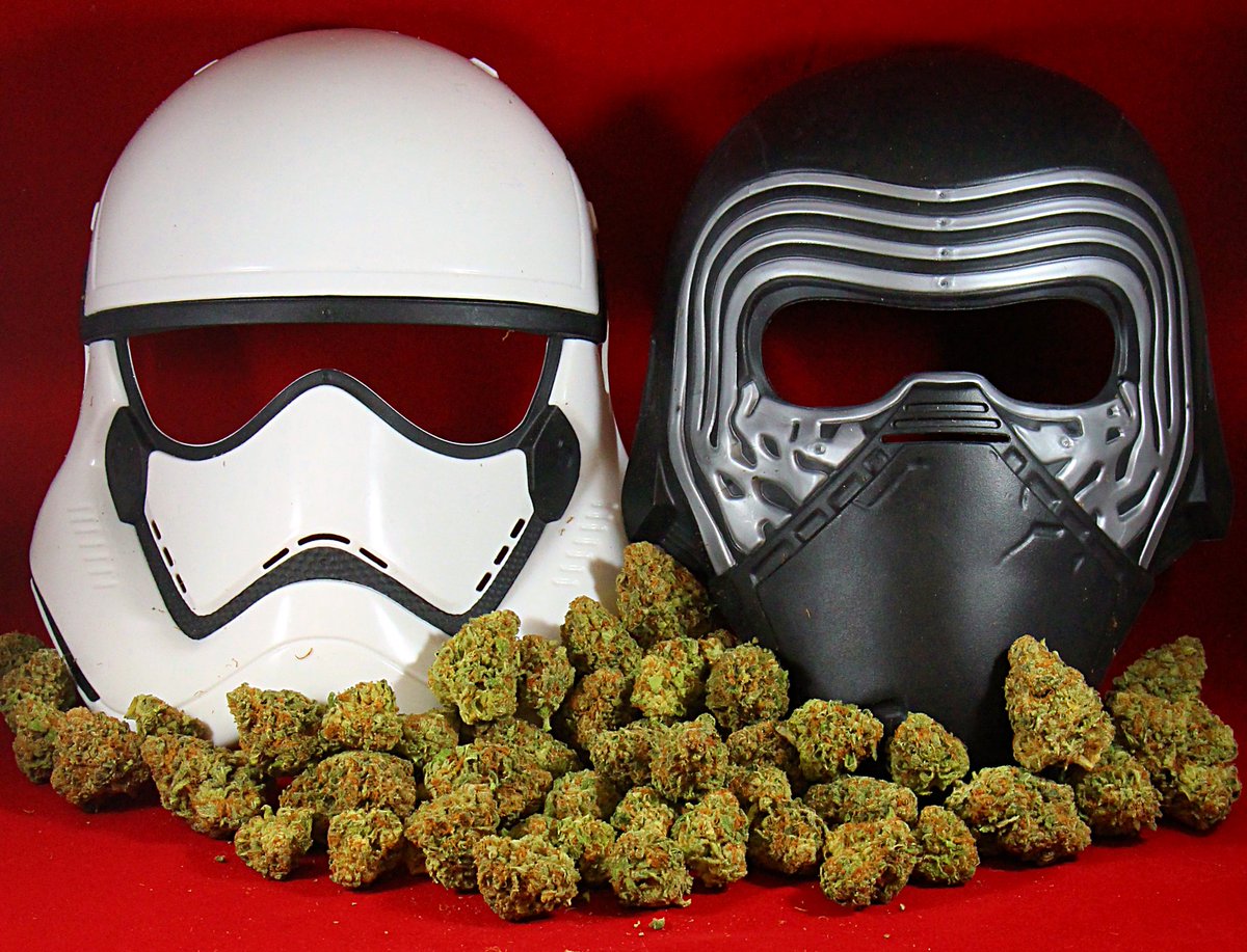 EmeraldArizona's tweet photo. 2 days until May the Fourth! Make sure to visit us for exclusive Timeless Vapes "Emerald Strikes Back" packages!! And a FREE Emerald Strikes Back t-shirt! + other May the Fourth specials! WSL #EmeraldGilbert #EmeraldPhoenix #CannabisCommunity https://t.co/aSRPXVxqpW