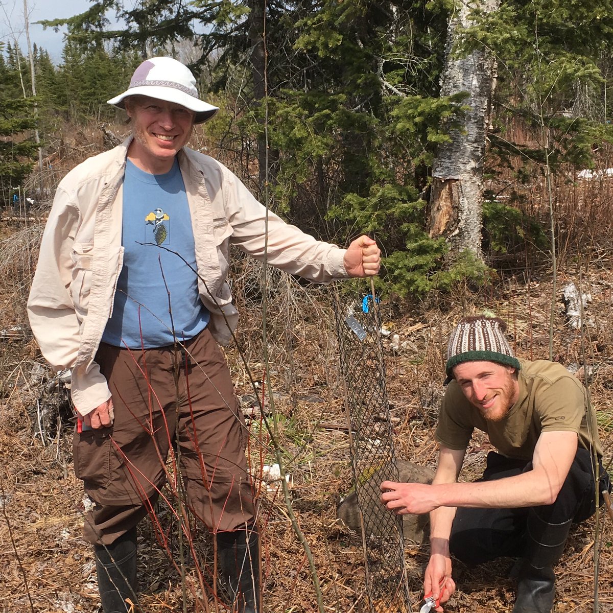 markawhite1215's tweet photo. Will cold-hardiness influence climate adaptive forestry? Twig collection: Testing cold-hardiness in two bur and red oak eco types in northeastern Minnesota. @DFHaines, Ryan Sullivan, @jilla_hamilton, NDSU, @MeredithCornett, #scifieldwork, #climatechange https://t.co/2cEWtuh6UT
